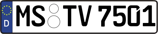 MS-TV7501