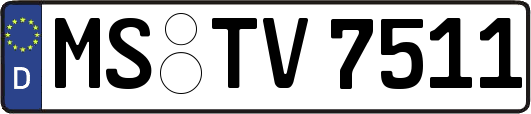 MS-TV7511