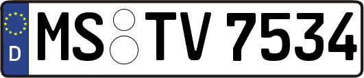 MS-TV7534