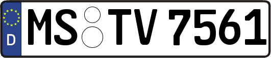 MS-TV7561