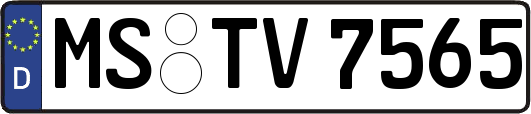MS-TV7565
