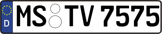 MS-TV7575