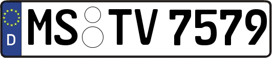 MS-TV7579