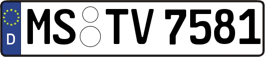 MS-TV7581