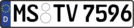 MS-TV7596