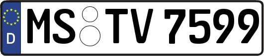 MS-TV7599