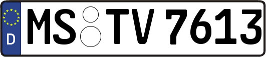 MS-TV7613