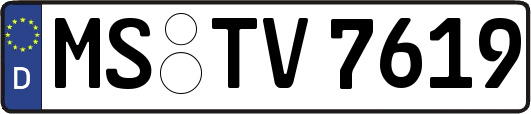MS-TV7619