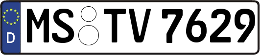 MS-TV7629