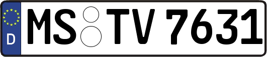 MS-TV7631
