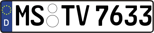 MS-TV7633