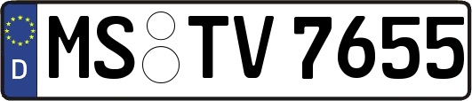 MS-TV7655