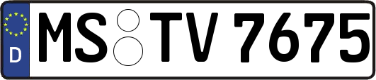 MS-TV7675
