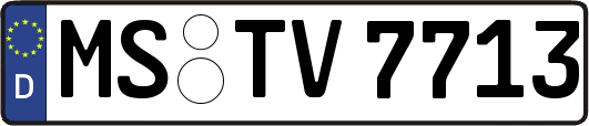 MS-TV7713