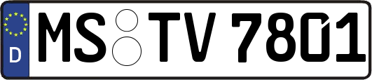 MS-TV7801