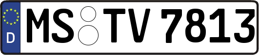 MS-TV7813