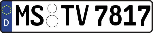 MS-TV7817