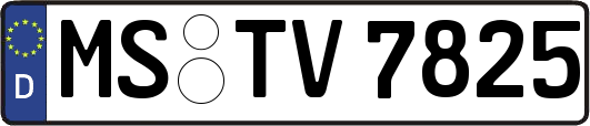 MS-TV7825