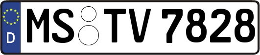 MS-TV7828
