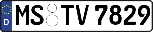 MS-TV7829