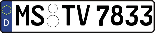 MS-TV7833