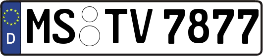 MS-TV7877