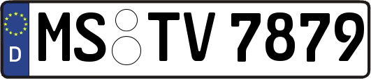 MS-TV7879