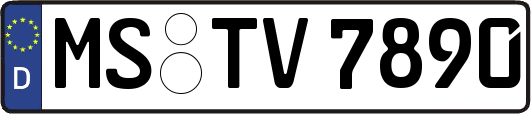 MS-TV7890