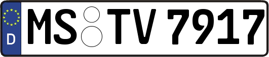 MS-TV7917