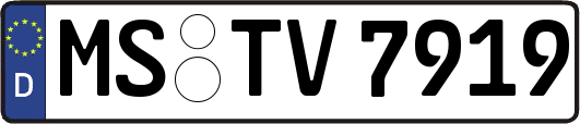MS-TV7919