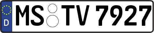 MS-TV7927