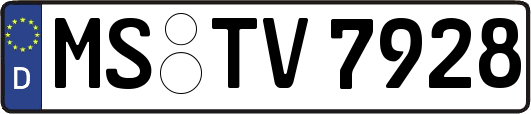 MS-TV7928