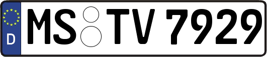 MS-TV7929