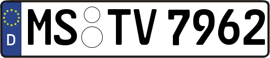 MS-TV7962