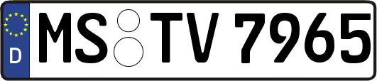 MS-TV7965
