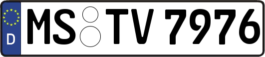 MS-TV7976