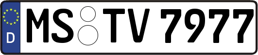 MS-TV7977