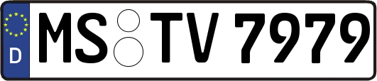 MS-TV7979