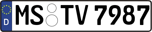 MS-TV7987