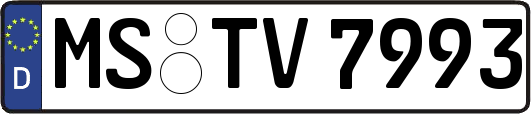 MS-TV7993