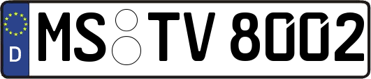 MS-TV8002