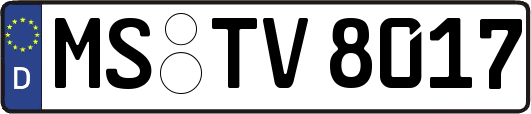 MS-TV8017