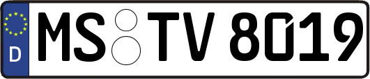 MS-TV8019