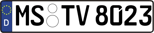 MS-TV8023