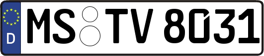 MS-TV8031