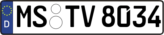 MS-TV8034