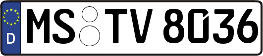MS-TV8036