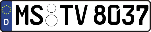 MS-TV8037