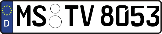 MS-TV8053