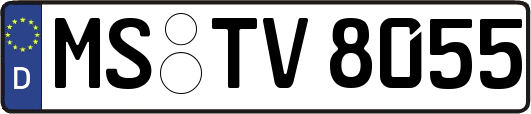 MS-TV8055